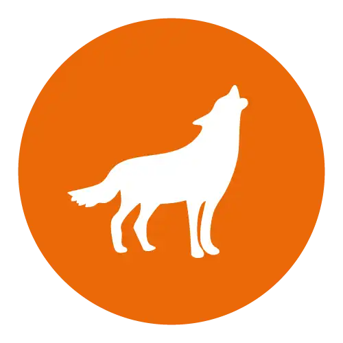 Tour a pie en Coyoacán