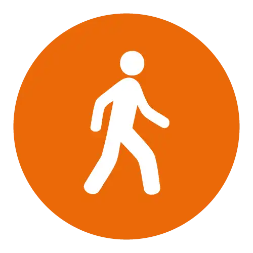 Tour a pie o en auto